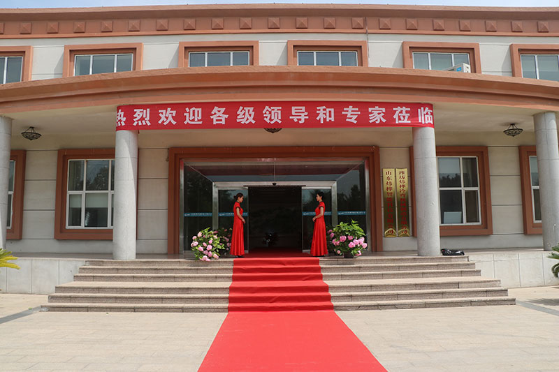 1691550574909449.jpg 10.jpg