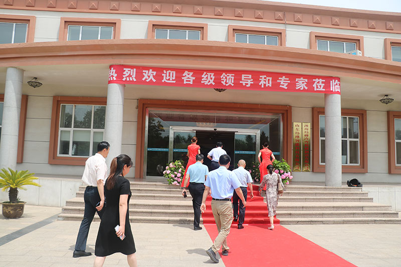 1691550607206977.jpg 12.jpg