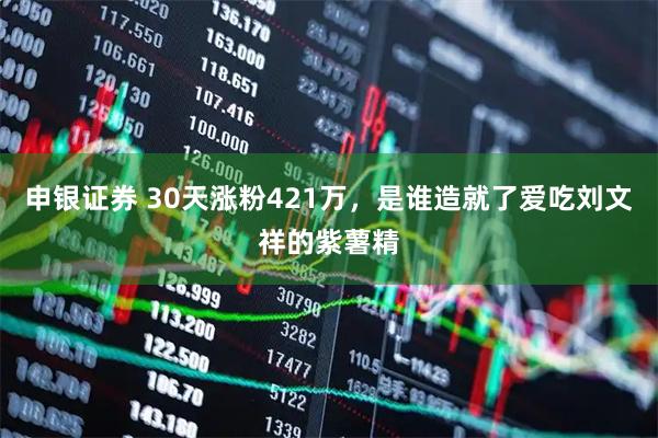 申银证券 30天涨粉421万，是谁造就了爱吃刘文祥的紫薯精