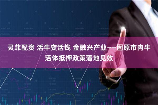 灵菲配资 活牛变活钱 金融兴产业——固原市肉牛活体抵押政策落地见效