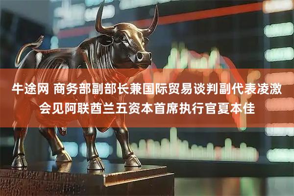 牛途网 商务部副部长兼国际贸易谈判副代表凌激会见阿联酋兰五资本首席执行官夏本佳