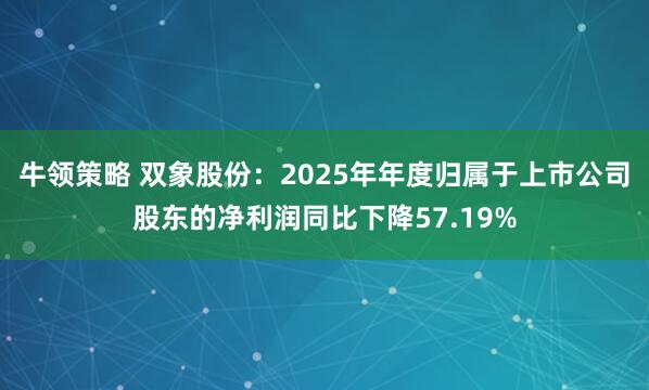 牛领策略 双象股份：2025年年度归属于上市公司股东的净利润同比下降57.19%
