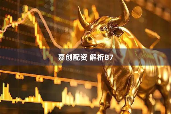 嘉创配资 解析B7