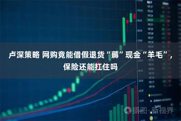 卢深策略 网购竟能借假退货“薅”现金“羊毛”，保险还能扛住吗