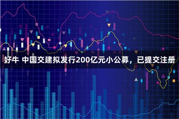 好牛 中国交建拟发行200亿元小公募，已提交注册